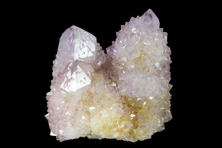 Cactus Quartz (Amethyst) Crystal Cluster - South Africa #137791
